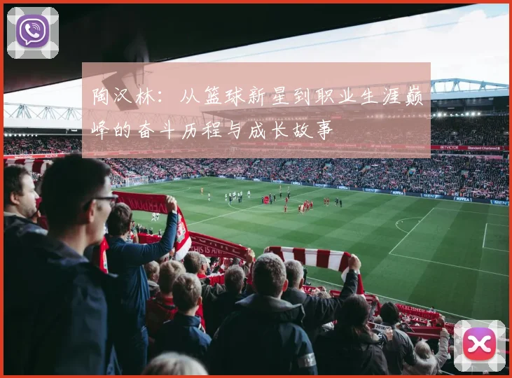 陶汉林：从篮球新星到职业生涯巅峰的奋斗历程与成长故事