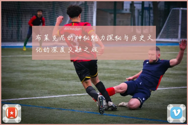 布莱克尼的神秘魅力探秘与历史文化的深度交融之旅