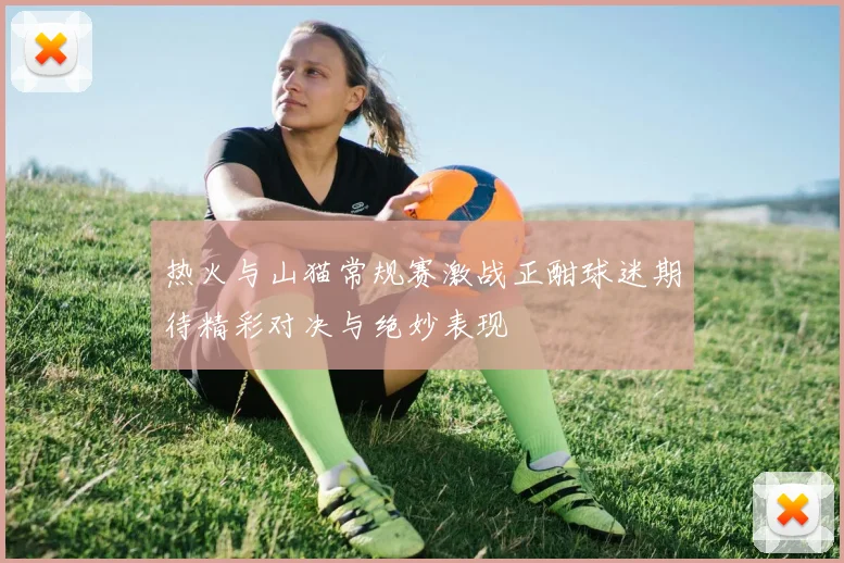 热火与山猫常规赛激战正酣球迷期待精彩对决与绝妙表现