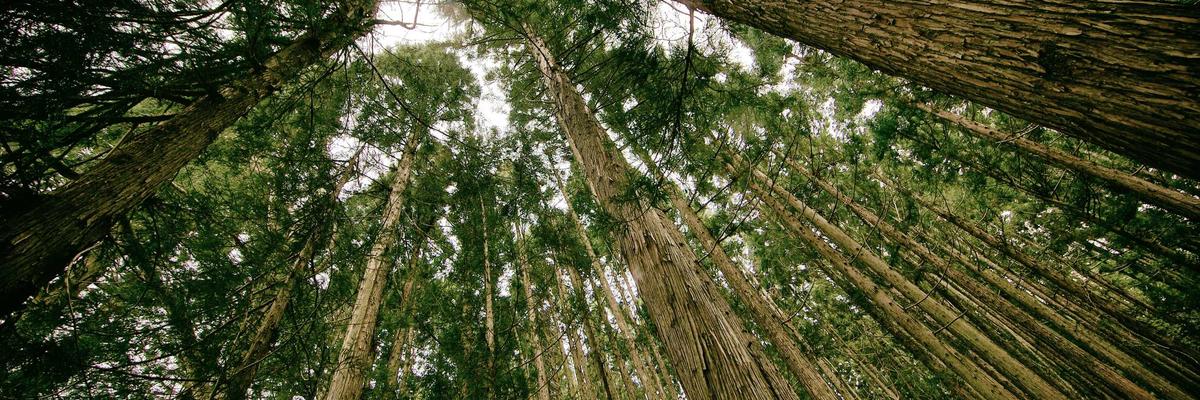 电竞直播 banner
